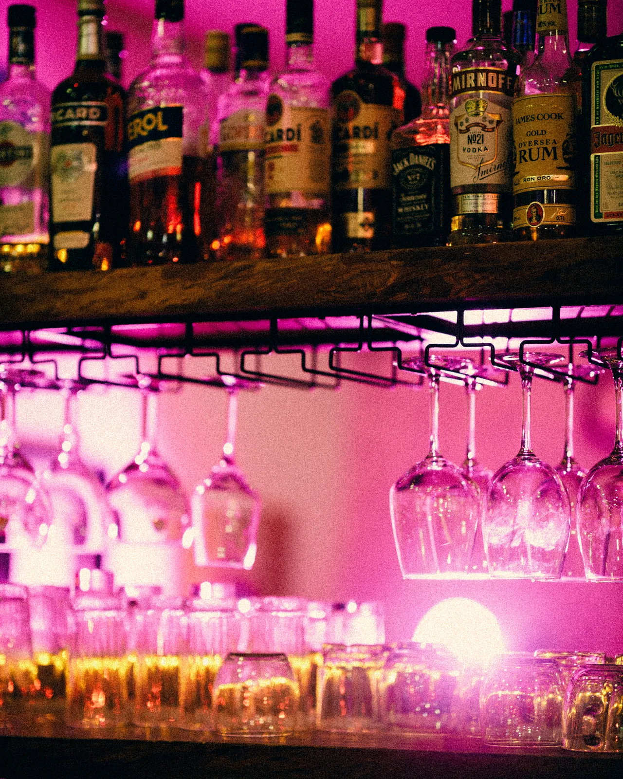 Le bar : bouteilles et verres